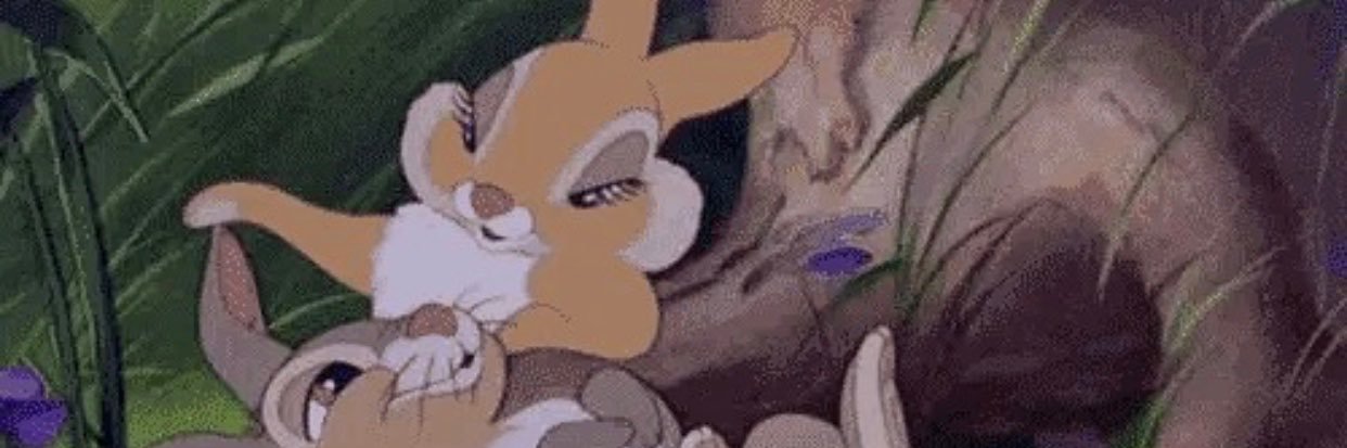 violetlarax's profile banner image
