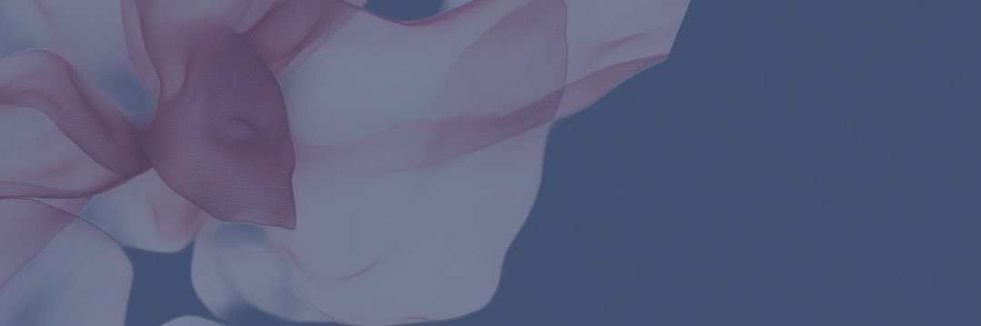 CitraNovy's profile banner image