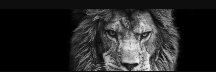 lkkk_3's profile banner image