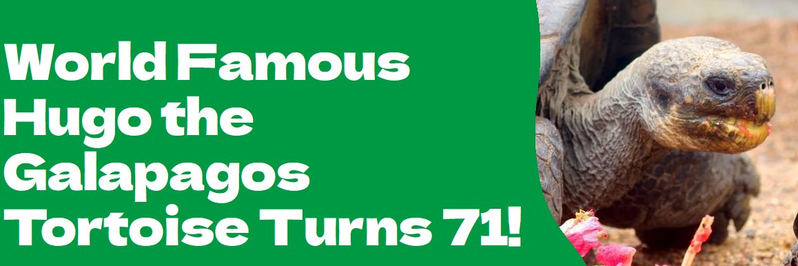 slow old tid's banner