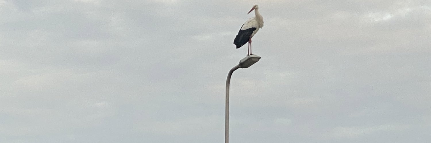 jeroenvgeest's profile banner image