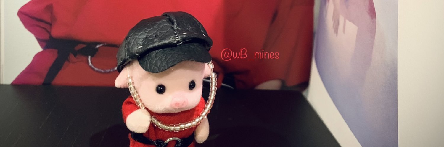 wB_mines's profile banner image