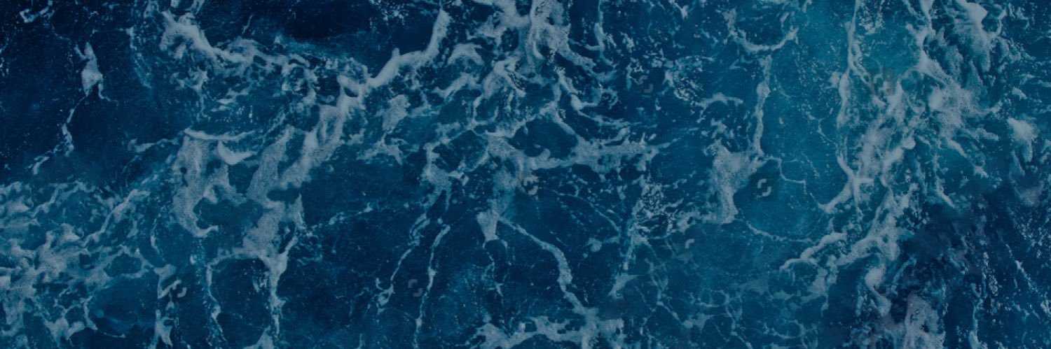 chels, still's banner