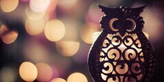Chrissyluv518's profile banner image