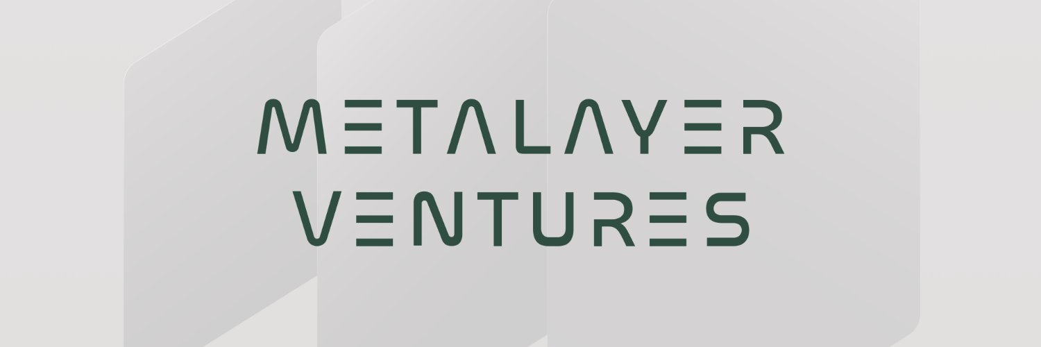 Metalayer Ventures banner