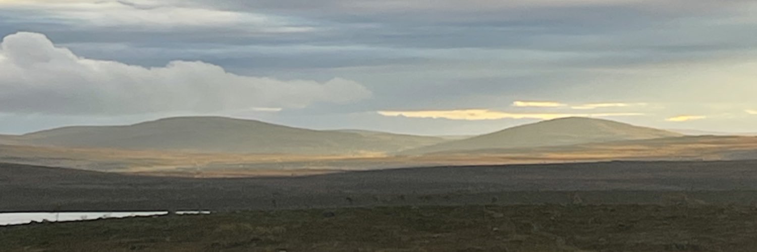 GifusGray's profile banner image