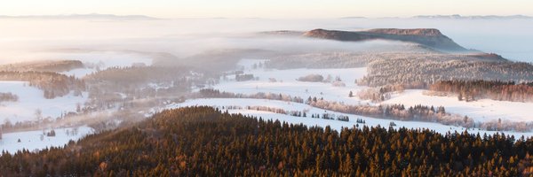 pixelot Profile Banner