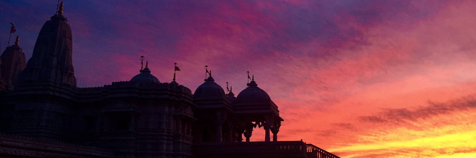 therealdisha's profile banner image