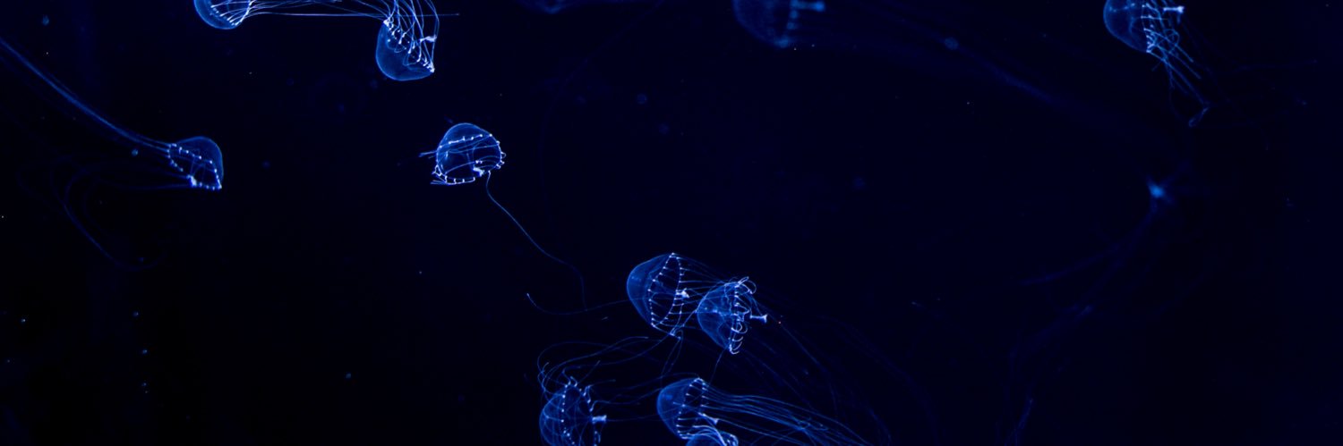 🅡らんりつ🅡 banner