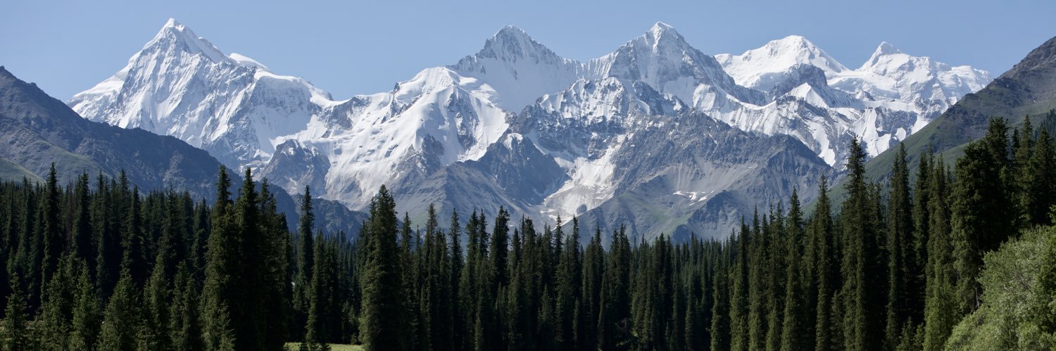 w. banner