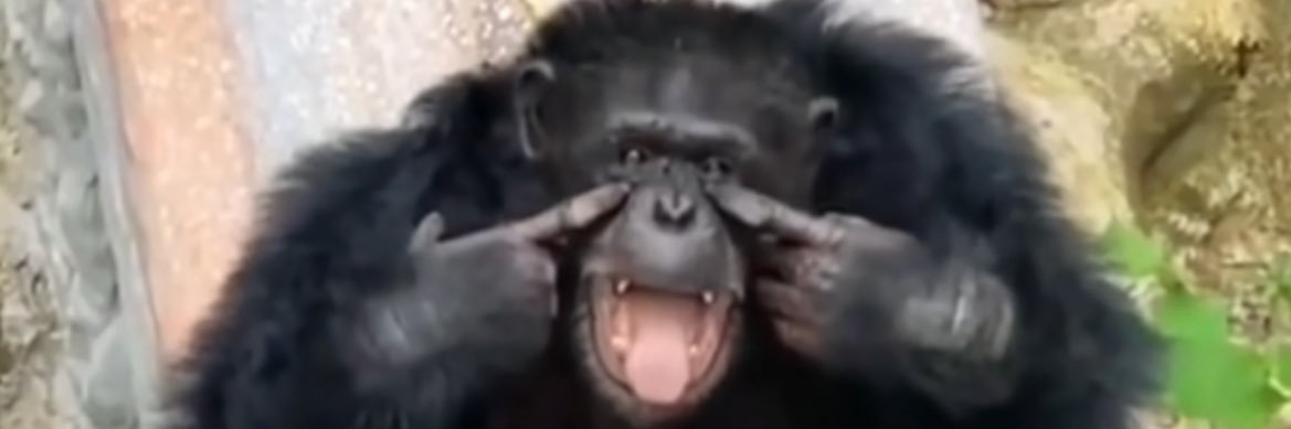 dddddddddllll's profile banner image