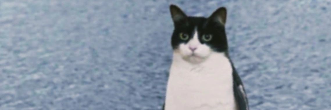 FrankOalaVT's profile banner image