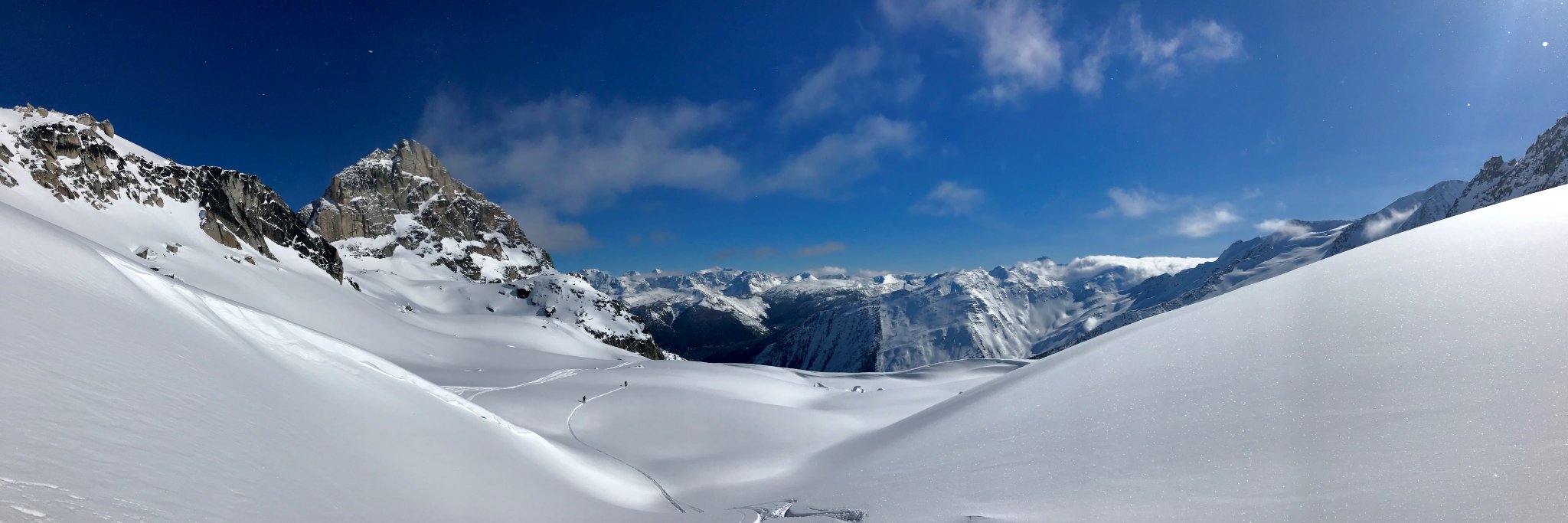 Chris Dellarocas banner