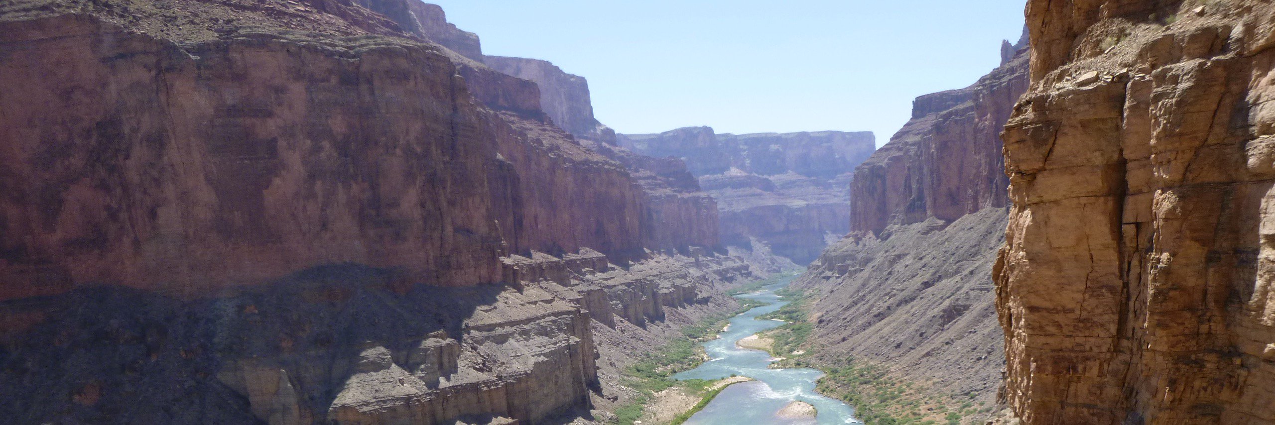 Anne Montgomery MD MBA MA banner