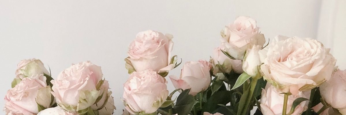 SweetyTillyToy's profile banner image