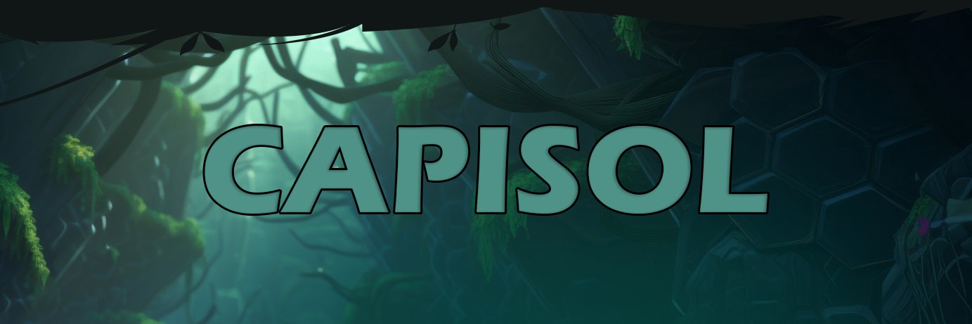 CapisolOG's profile banner image