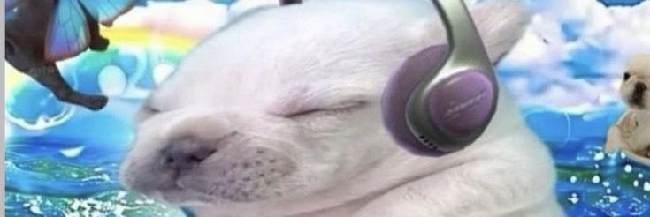 Aliceconce20773's profile banner image