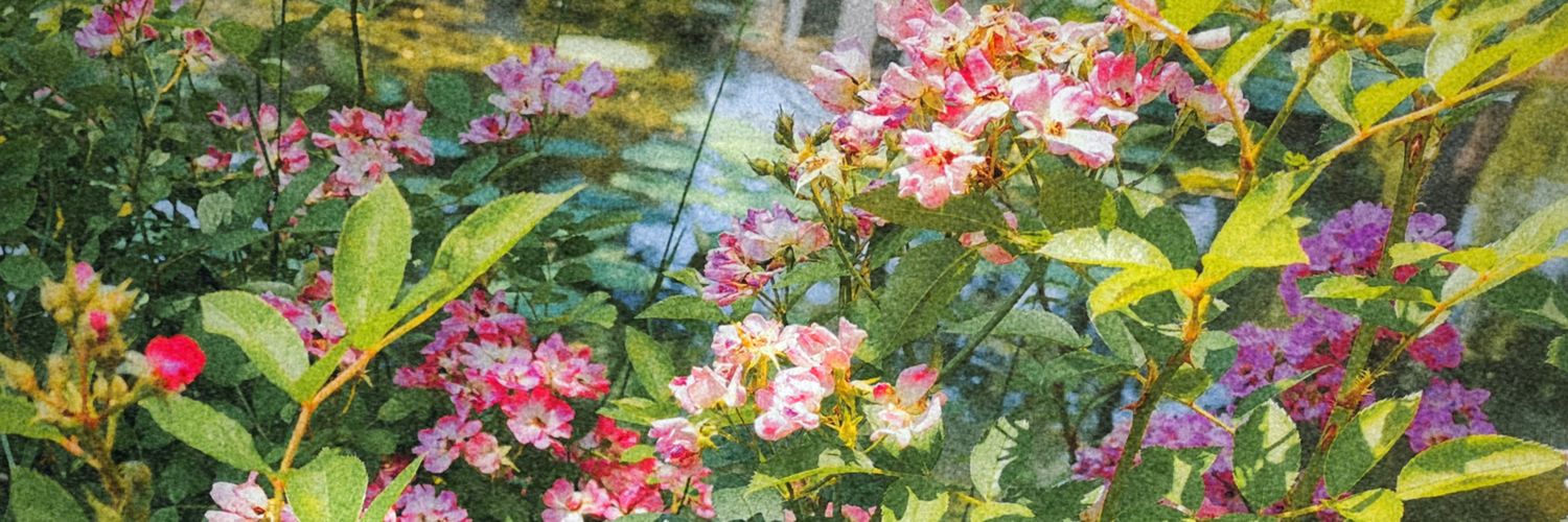 悲伤破忒头 banner