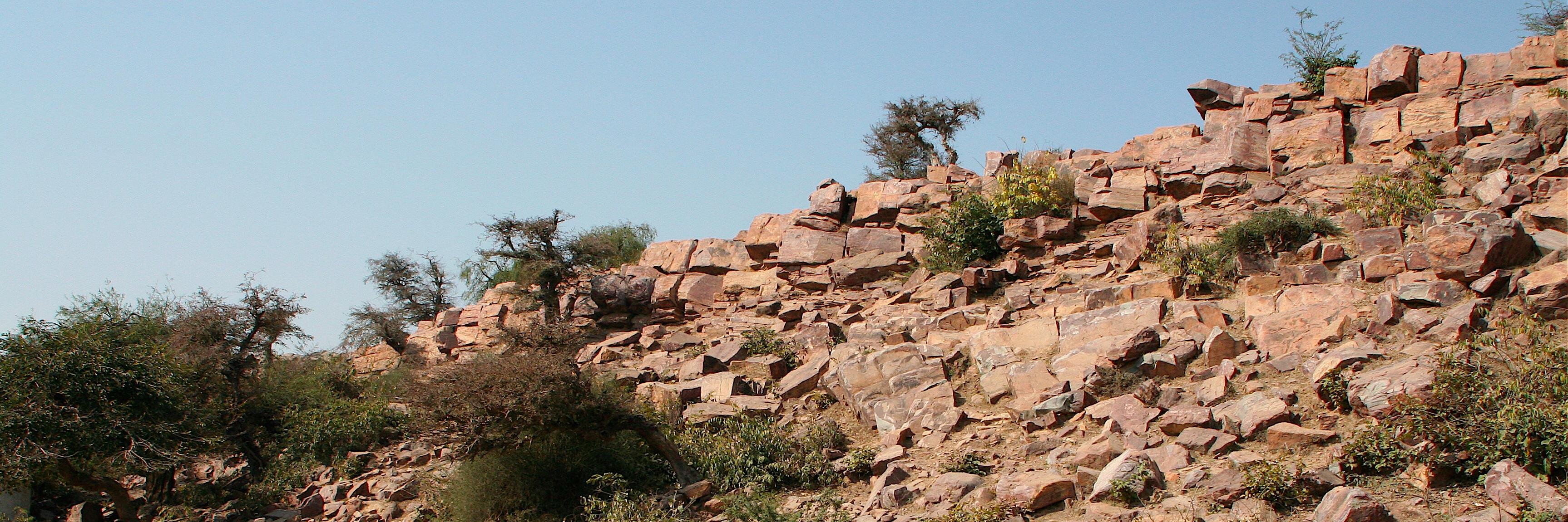 dswami's profile banner image