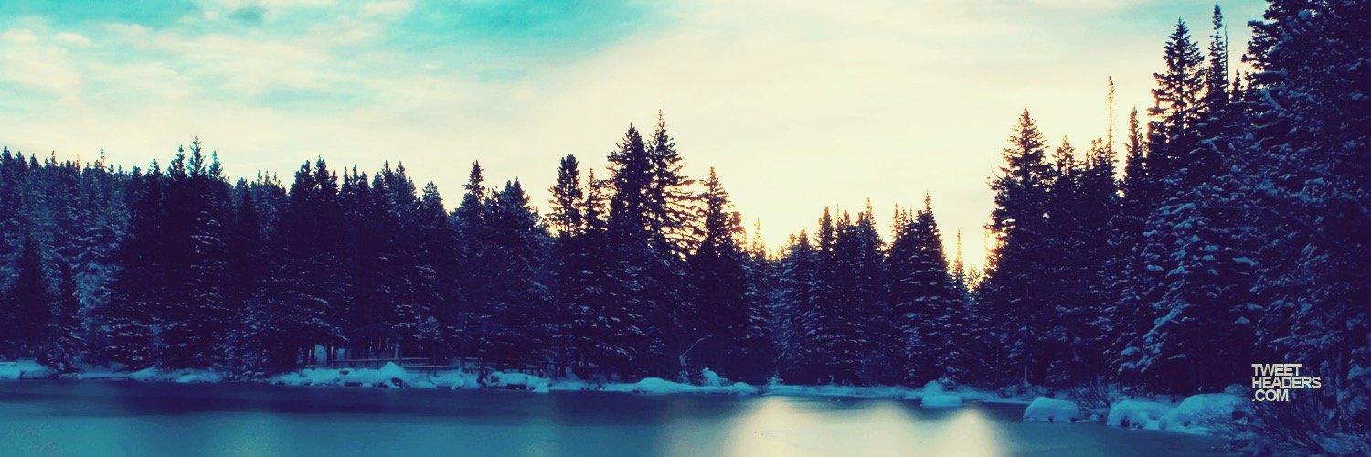 pyleaustin's profile banner image