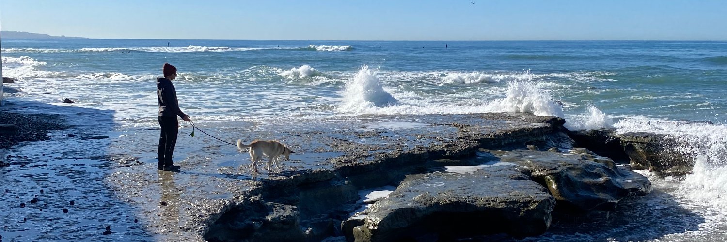 Joe Gibbs Politz banner