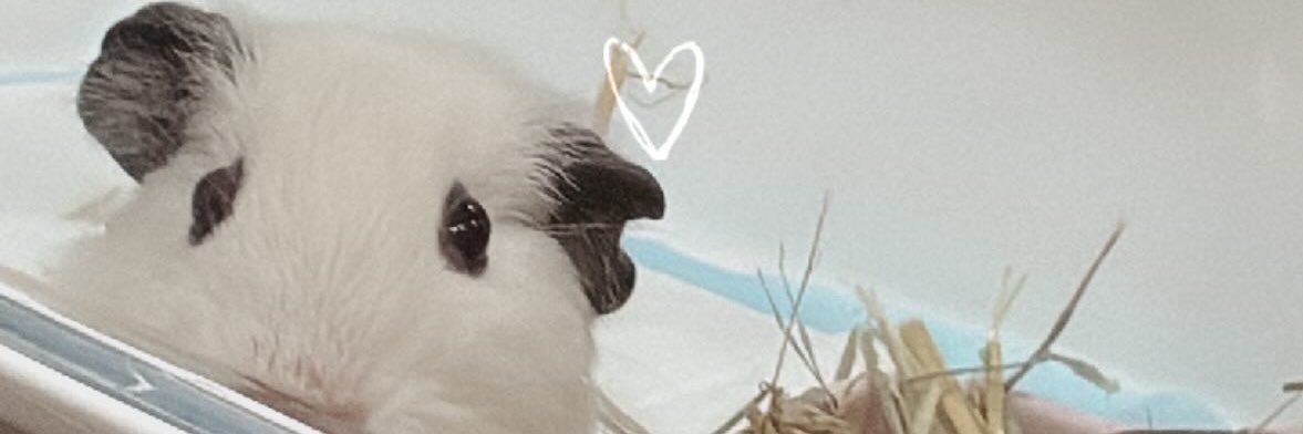 20060414yy's profile banner image