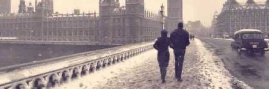 sqelit's profile banner image