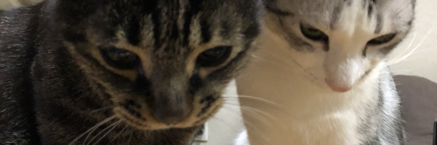 じぇいじぇい（JJ） banner