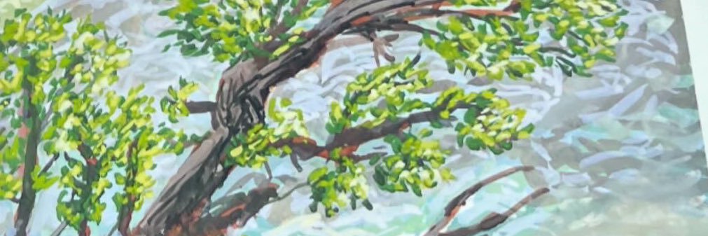 Shiri's banner