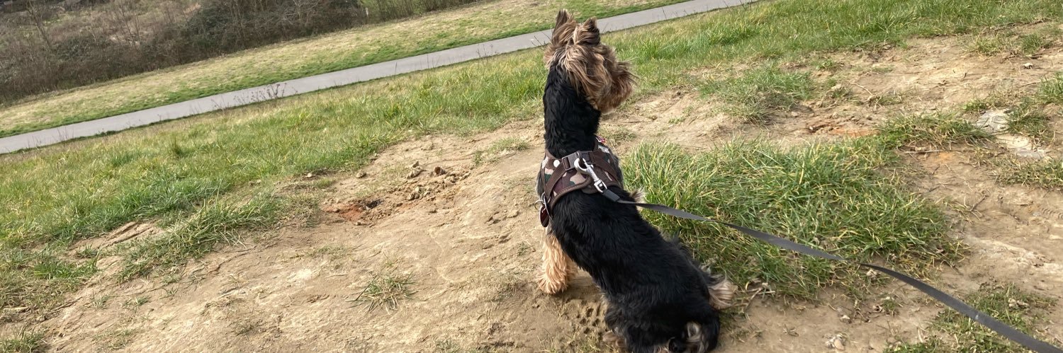 Neocortex0103 banner