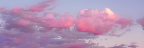 lilwitchmama's profile banner image