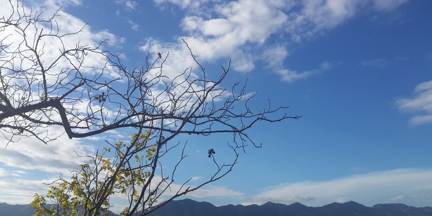 carolinamguzman's profile banner image