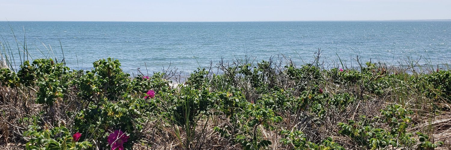 Kate Davidson banner