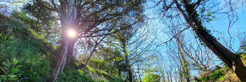 Tweeter🐥💙🦋#NHS Hates #Injustice #FBPE🇪🇺🇬🇧💫 banner