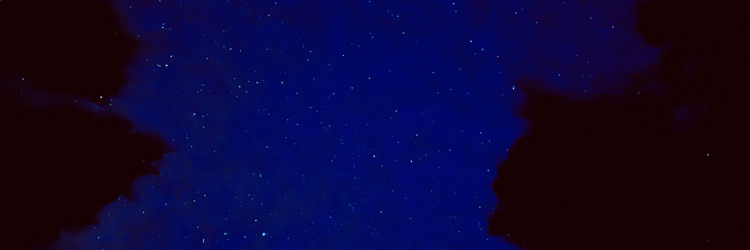 lavendar_daisy's profile banner image