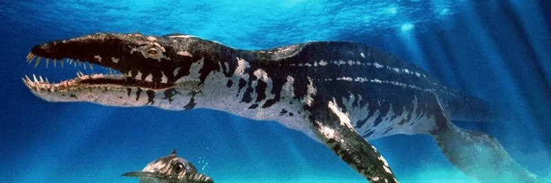 Liopleurodon facts please banner