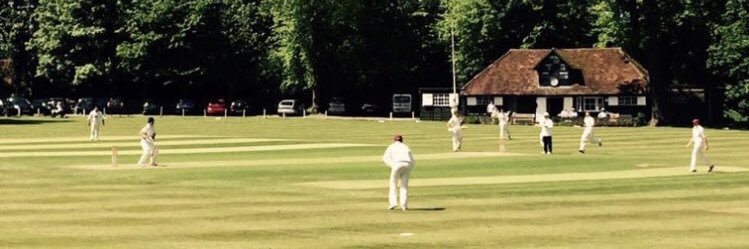Farnham Cricket Club banner