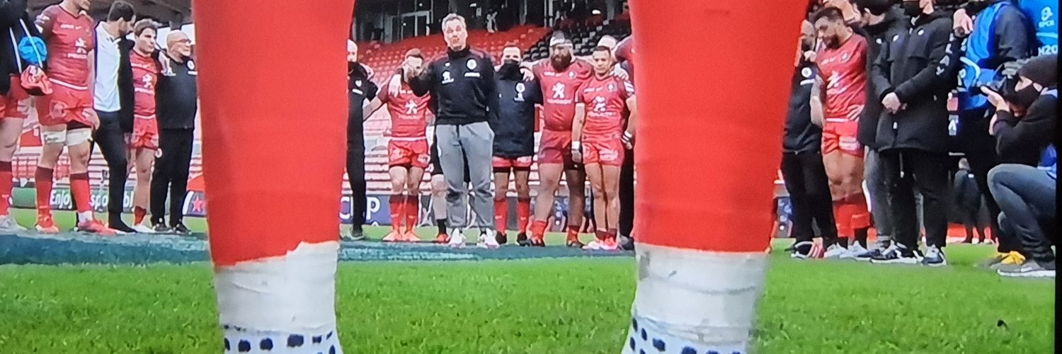 Amicale Supporters Stade Toulousain Rugby banner