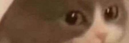 daiki 🔞 banner