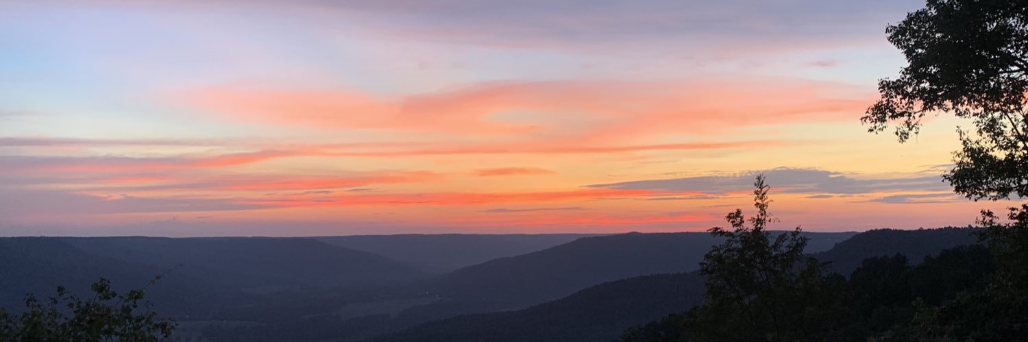 Kristen Bishop banner