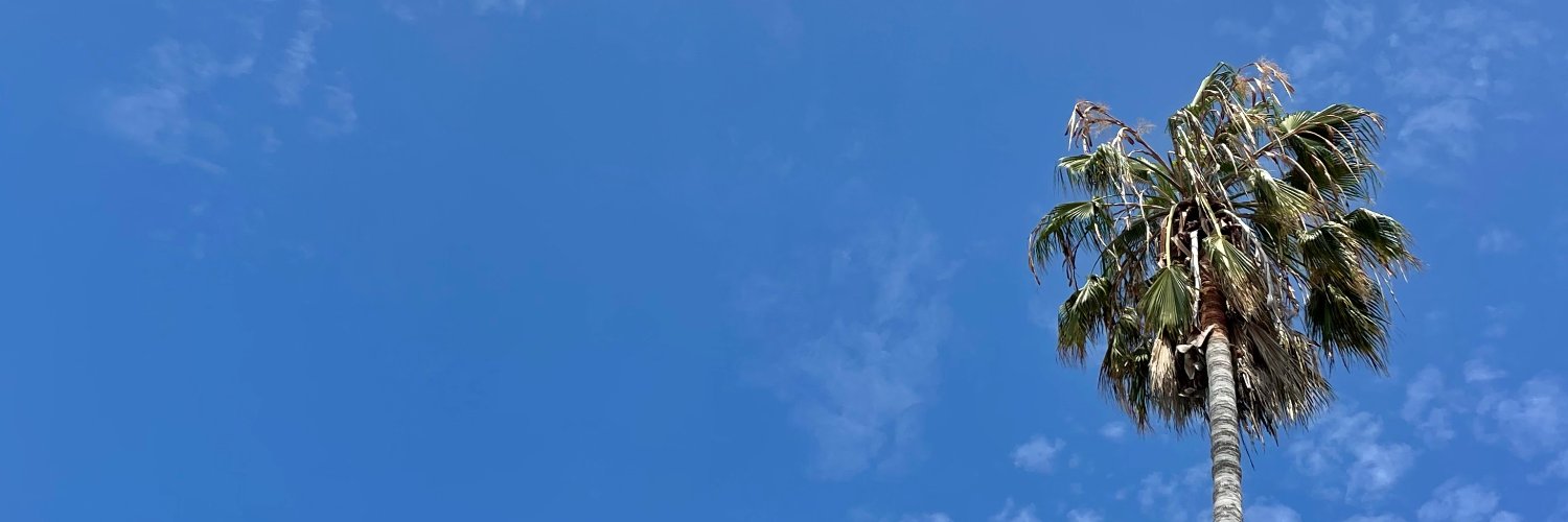 Mary Plummer banner