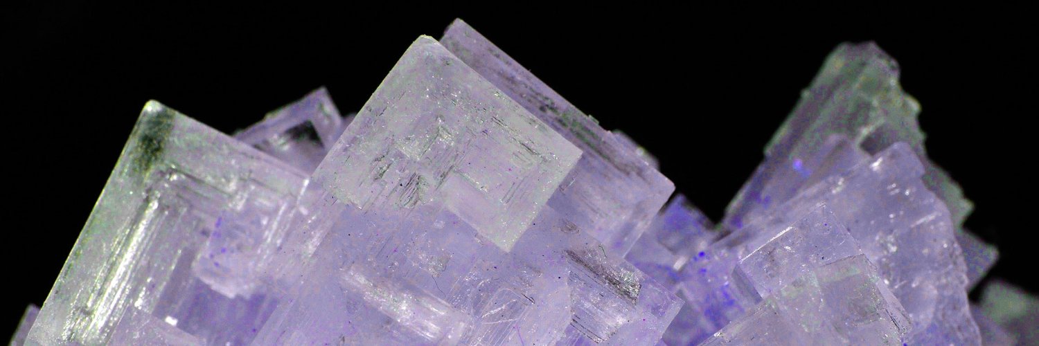 Halite Jones banner