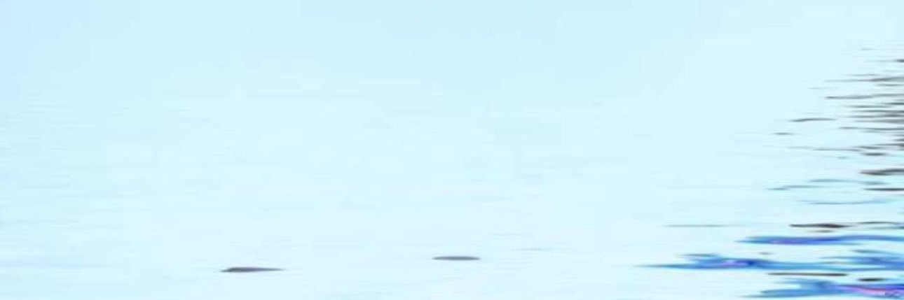 Amal☀️ banner