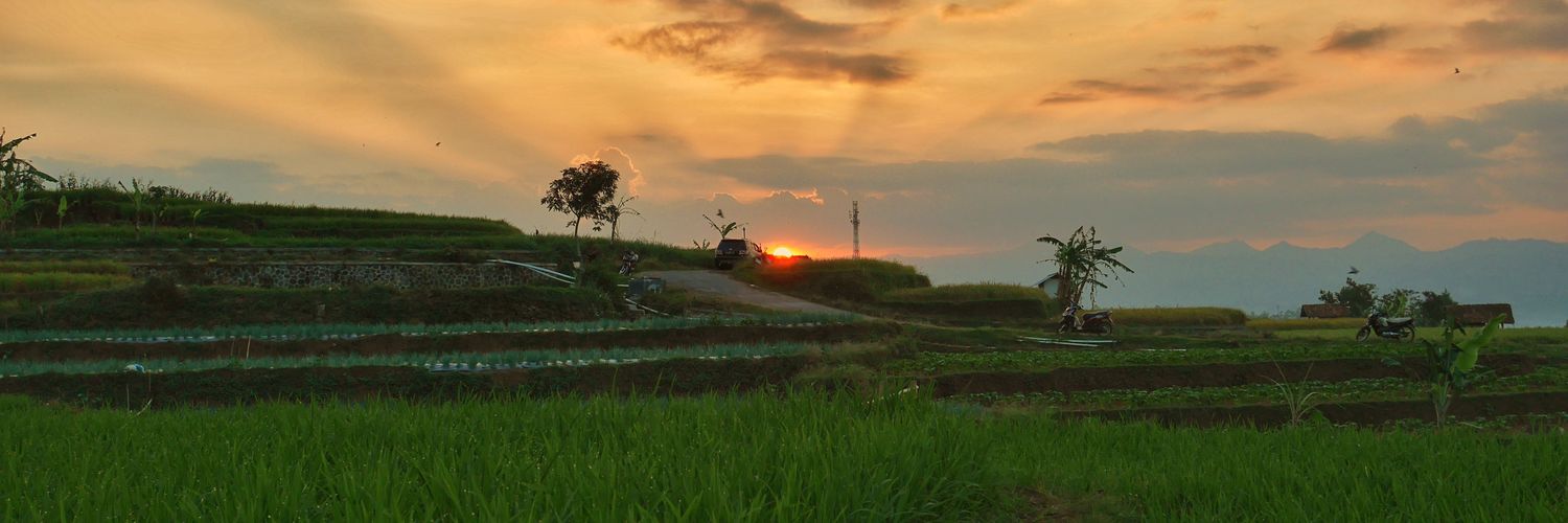 fnwisnu's profile banner image