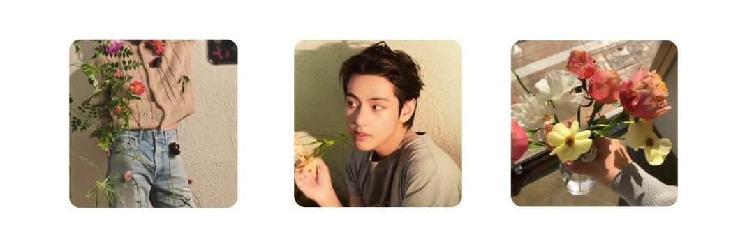M&M 💐 banner