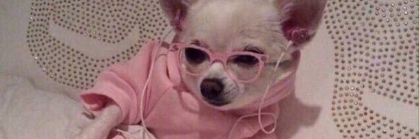 dumbdoffy Profile Banner