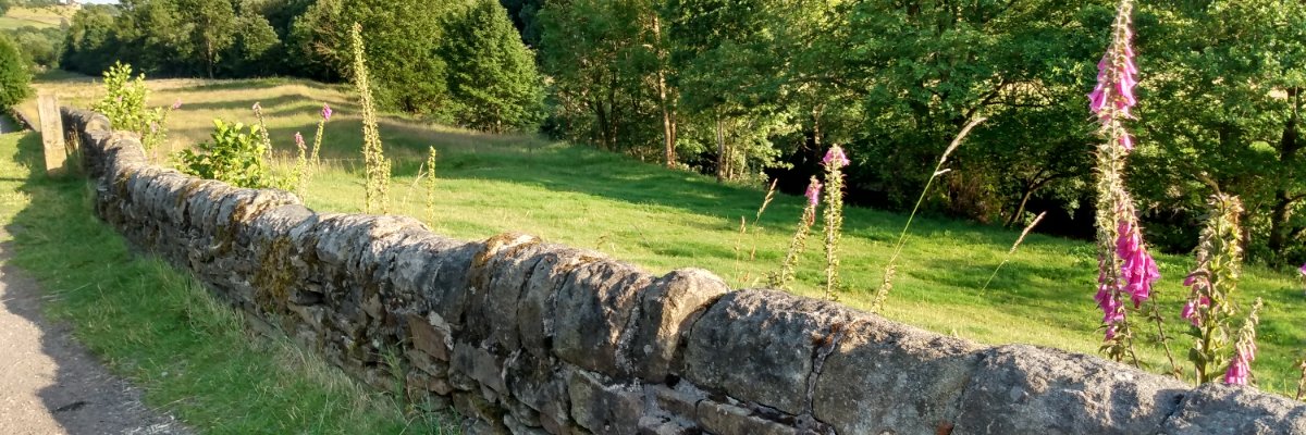 HelenGavaghan's profile banner image