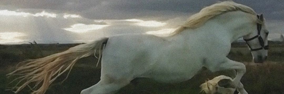 Lorenarodrigsnz's profile banner image