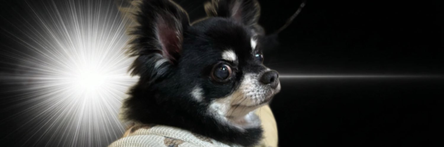 さぶみこちゃん🎀 banner