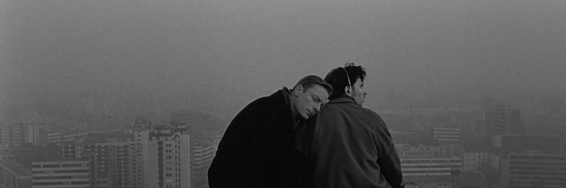 дрозд-рубильник banner